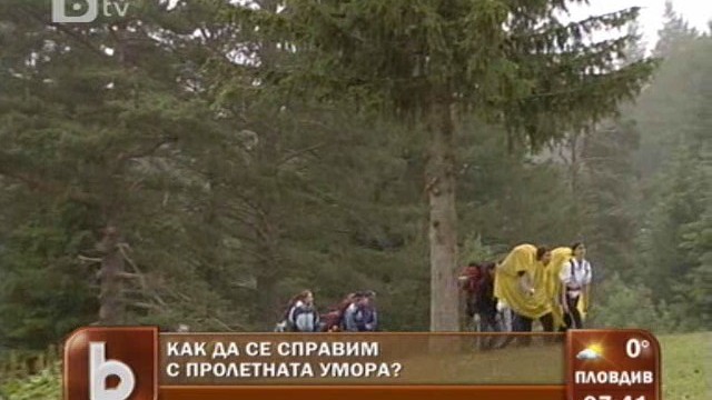 Снимка: Как да се справим с пролетната умора? 