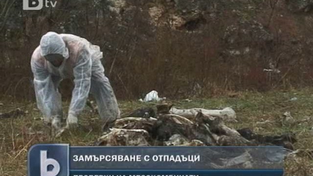 Снимка: Откриха тонове животински кости край Хасково