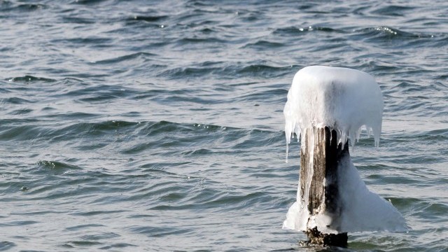 Снимка: Светът почита водата