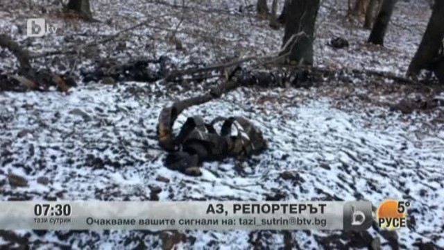 Снимка: Аз, репортерът
