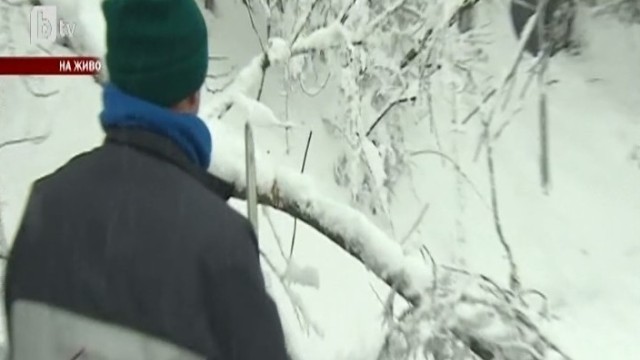 Снимка: Доброволци се включиха в борбата със снежното бедствие