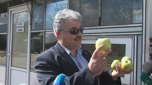 Снимка: БАБХ проверява храните, внасяни през ГКПП „Кулата“