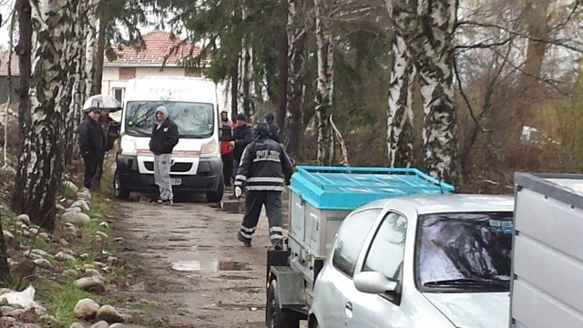 Снимка: Полиция спря боеве с кучета в Банско