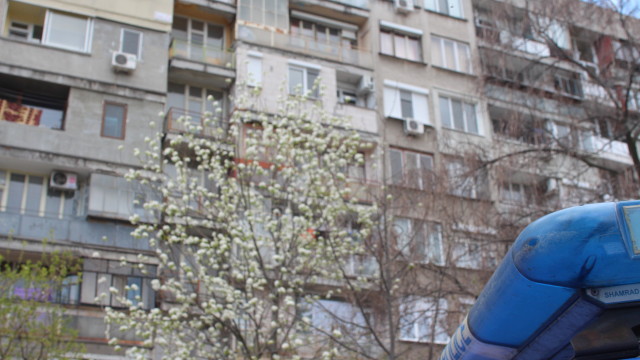 Снимка: Намериха пистолет „Макаров” в блока на барикадиралите се в Стара Загора младежи