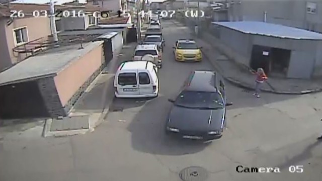 Снимка: Собственикът, влачил куче с колата си: Забравих, че е на теглича, поемам вината 
