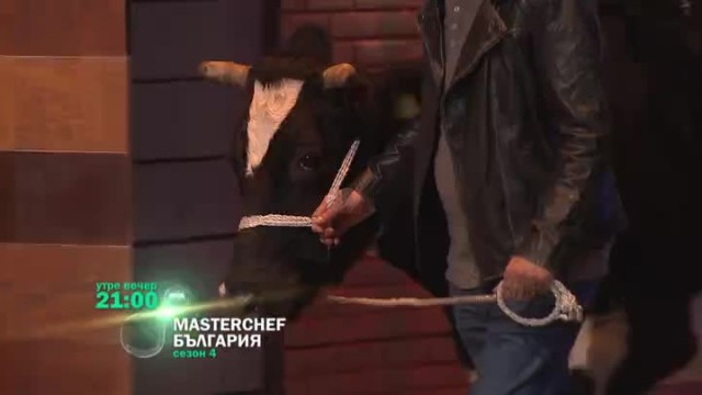 Утре вечер в 