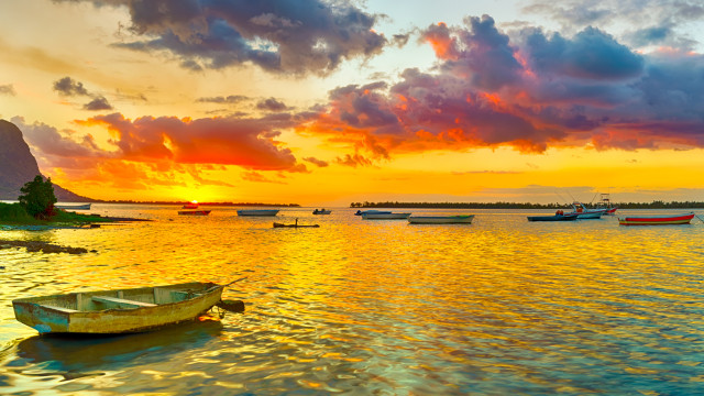 Снимка: Мисъл на деня от Рабиндранат Тагор (СНИМКИ + ВИДЕО)