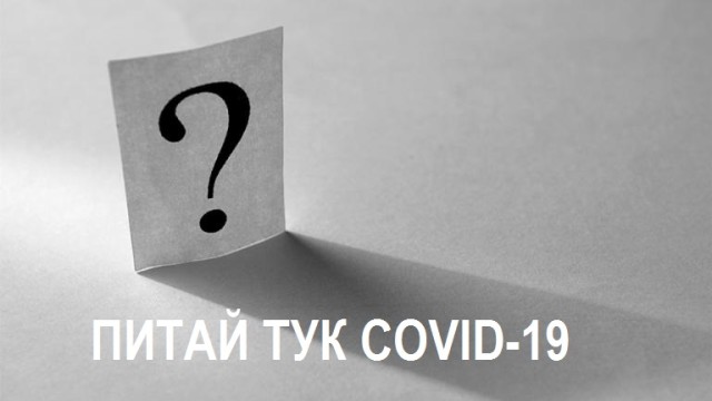 Снимка: ДАЗД откри нова онлайн услуга за подкрепа в извънредната ситуация с COVID-19