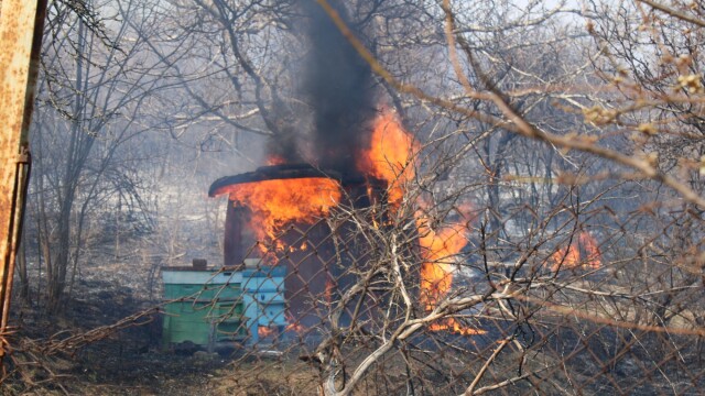 Снимка: Голям пожар в Рила: Огнеборци, горски и доброволци атакуват огнищата от двете страни 