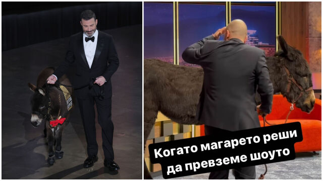 Снимка: Миризлив инцидент с магаре се случи в 