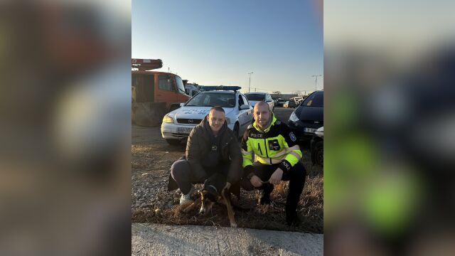 Служители от Районното управление в Козлодуй осиновиха куче което е