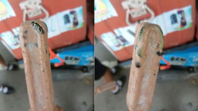 Тайландец намери змия в сладолед на клечка На 4 март мъжът