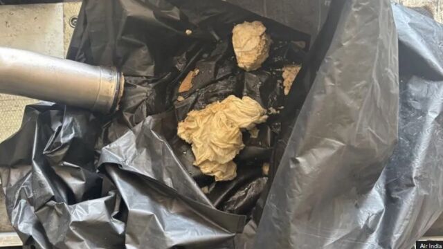 Air India потвърди че един от полетите ѝ от САЩ