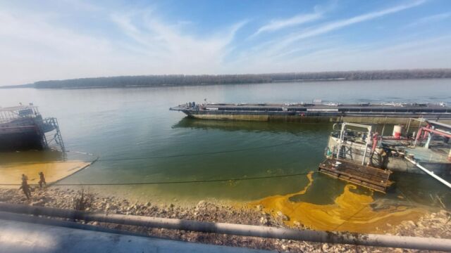 Експертите на РИОСВ Русе се самосезираха след публикуван клип