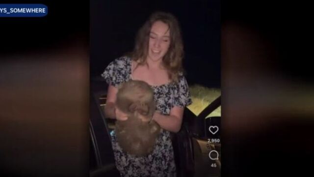 Потребители на социалните мрежи и любителите на животните от цял