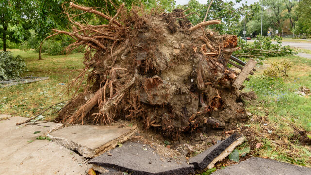 От Националния институт по метеорология и хидрология  НИМХ обявиха оранжев и жълт предупредителен