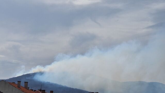 В горския фонд между с Изгрев и с Лозенец е