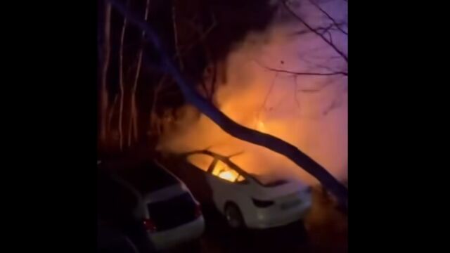 Четири автомобила Tesla са били подпалени в Берлин съобщи полицията  Това