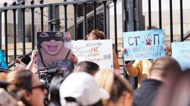 Затвор от 3 до 10 години и глоба от 5000