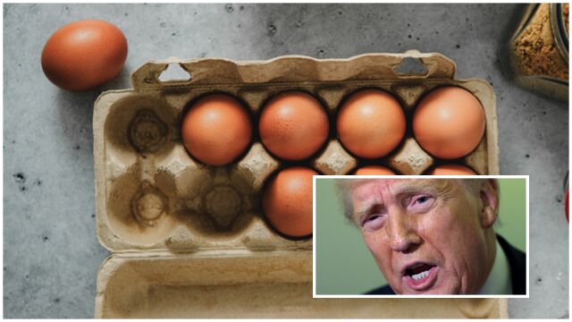 Цените на яйцата достигнаха рекордно високи стойности в САЩ на