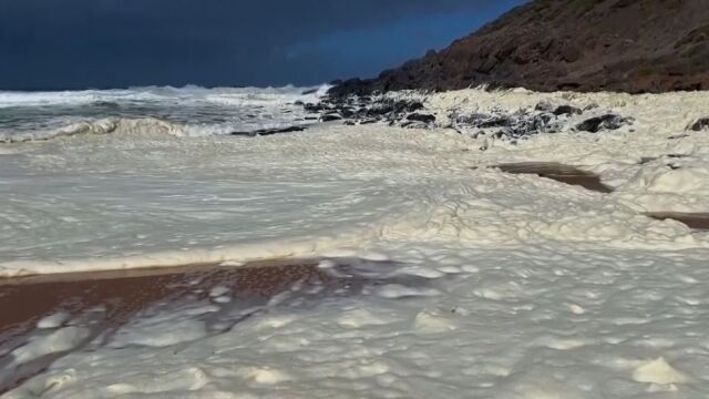 Австралийски щат затвори два плажа заради мъртва риба и необичайна