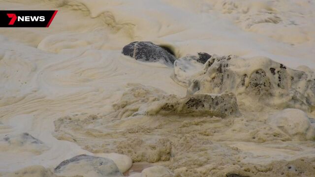 Мистериозна пяна изплува на плажовете в Южна Австралия съвпадайки със