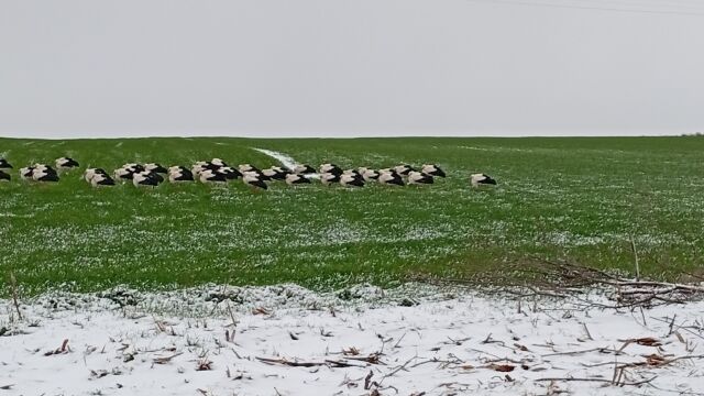 През 2018 г добра новина от България влиза във фокуса