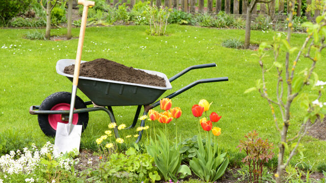 Снимка: Кои зеленчуци и цветя да засадим през април - за плодородна и красива градина