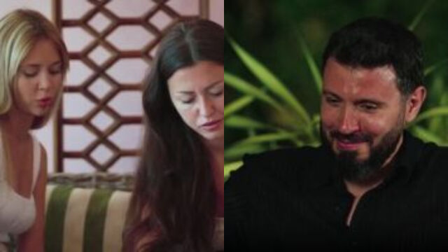 Снимка: Ива от 