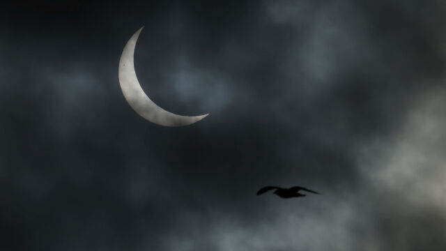 Снимка: През 2026 г. от България ще се наблюдават два астрономически феномена. Вижте кои са те