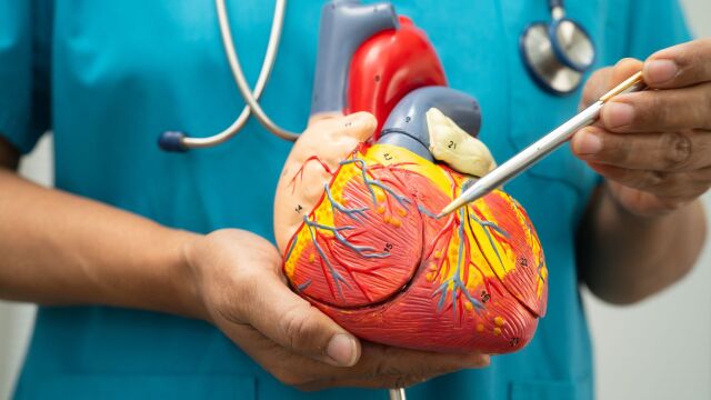 Снимка: Защо жените получават инфаркт дори при ниски нива на холестерол