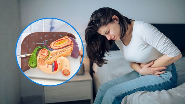 Снимка: Кои са най-честите проблеми, свързани с жлъчката и как се лекуват