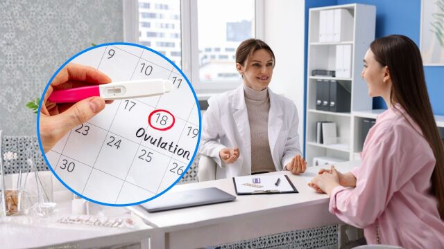 Снимка: Овулация и зачеване: Признаци, хормони и методи за проследяване