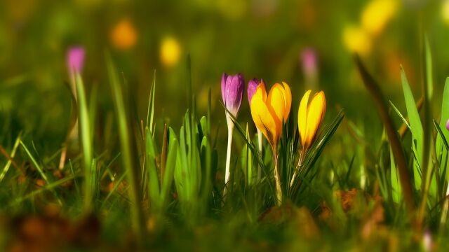 Снимка: Слънчев и топъл петък 13-ти