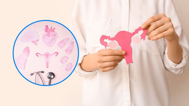 Снимка: 6 заболявания, свързани с дисбаланс на естроген при жените 