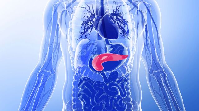 Снимка: 5 симптома на възпален панкреас, които не трябва да игнорирате