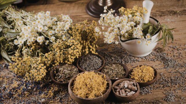 Снимка: 10 билки за стрес и тревожност: За какво помагат и как да ги използвате