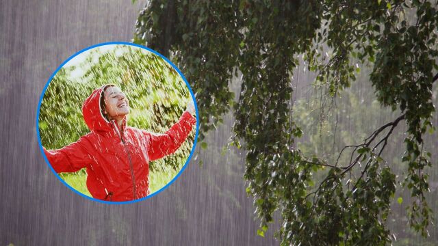 Снимка: Защо миризмата на дъжд ни кара да се чувстваме добре