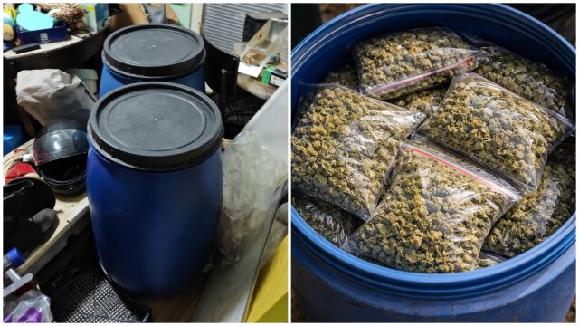 Снимка: Разкриха наркооранжерия в Бургас: Полицията иззе 15 кг марихуана в бидони