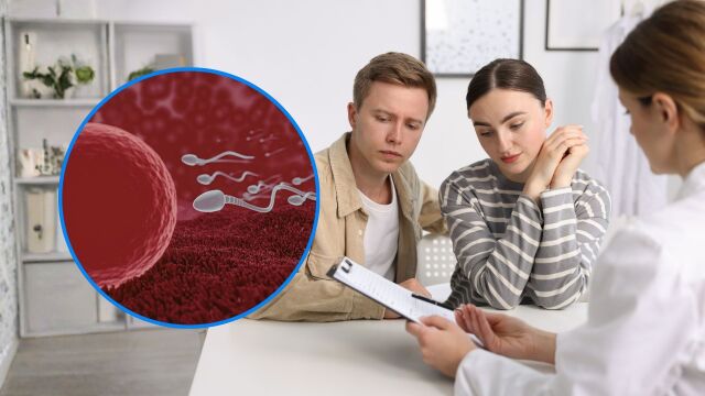 Снимка: По-честата еякулация може да подобри мъжката плодовитост