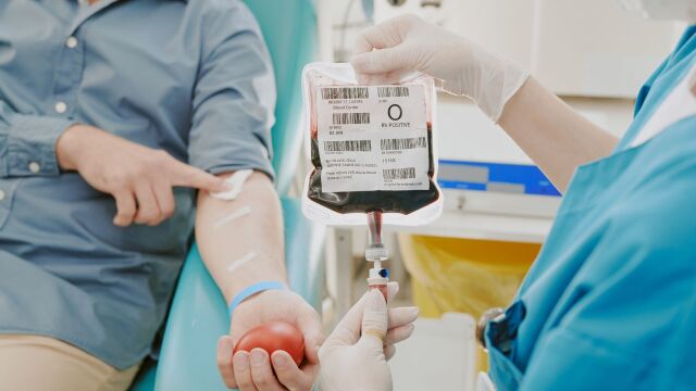 Снимка: На Цветница може да спасим 3 живота: Къде да дарите кръв?