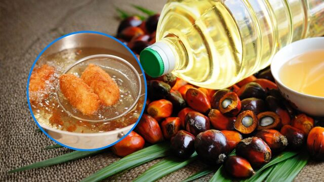 Снимка: Палмовото масло увеличава риска от рак, но има и изненадващи ползи