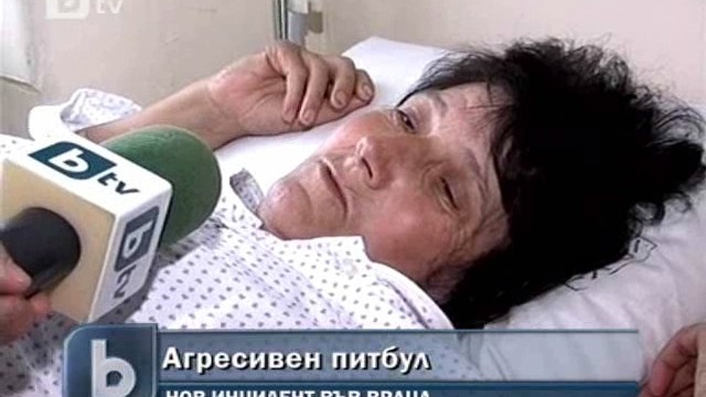 Снимка: Агресивен питбул нахапа втори човек