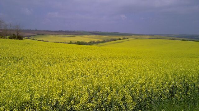 Снимка: Таксите за поземлена собственост са актуализирани