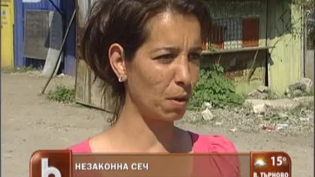 Снимка: Незаконна сеч