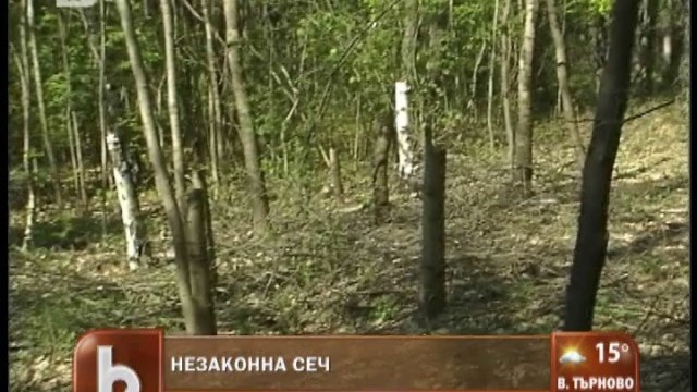 Снимка: Безнаказана сеч в столичния Западен парк