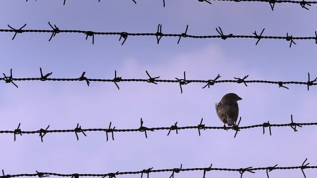 Снимка: Депутат настоява Норвегия да затвори границите си за българи, роми и французи