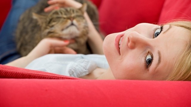 Снимка: Как котките лекуват