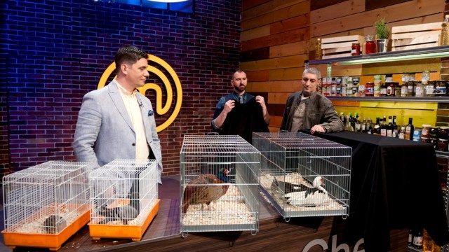 Въшки с козунак и живи птици изпитват въображението на елита в MasterChef