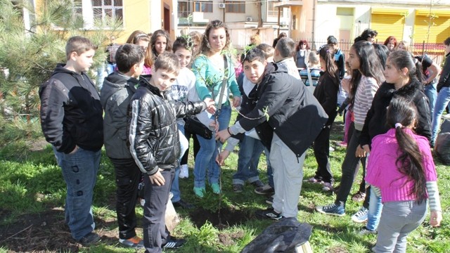 Зелена идея в училище - 29 СОУ 